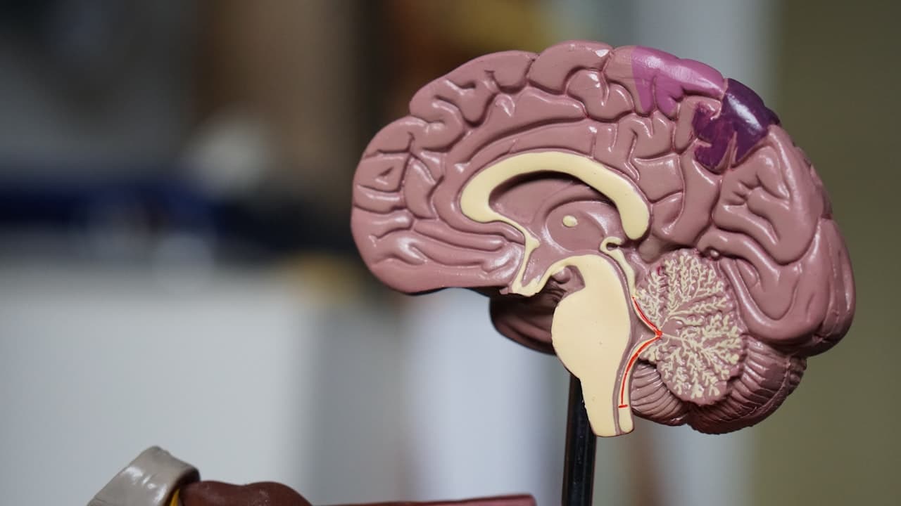 Magnesium Glycinate: Benefits for Sleep, Stress Relief, and Overall Health